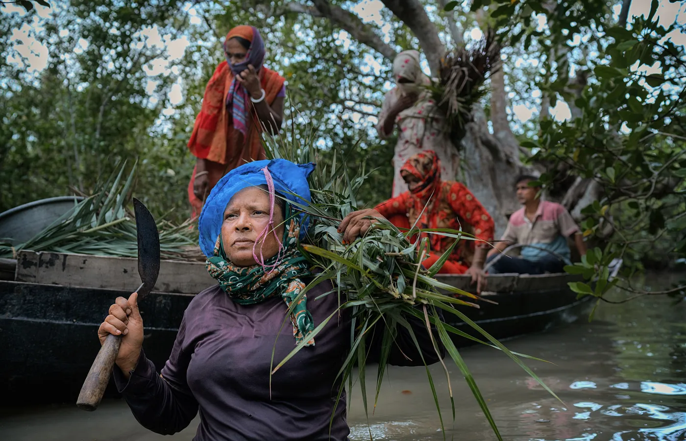 Honey collectors at the edge of the mangroves